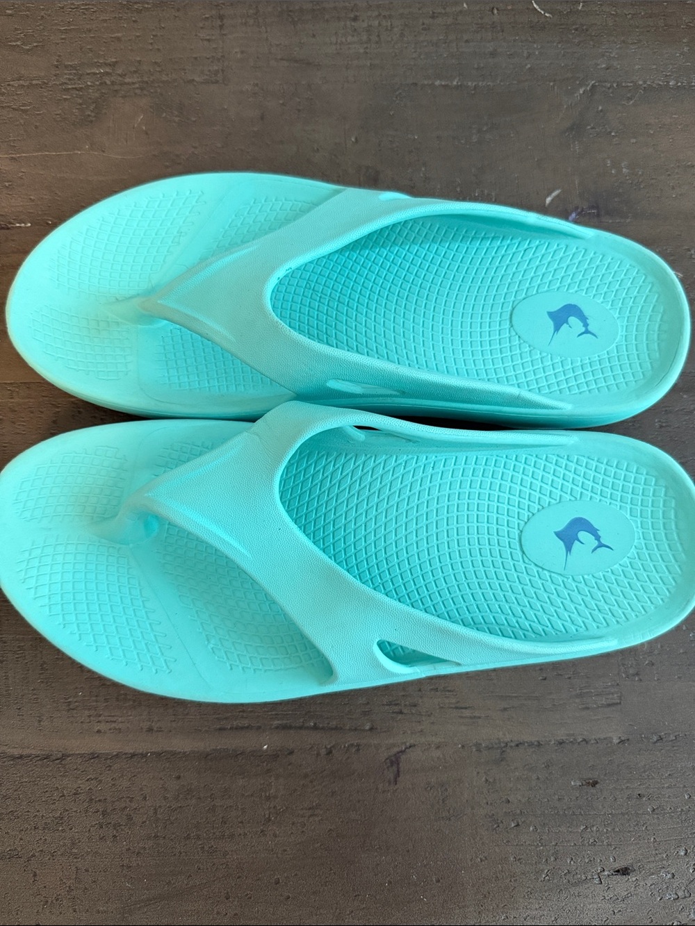 Reel Legends Aqua Teal Women's Flip Flop Sandals size 9